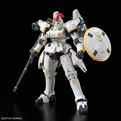 RG TALLGEESE EW 1/144