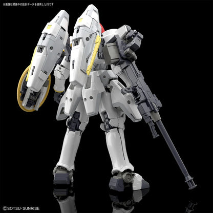 RG TALLGEESE EW 1/144