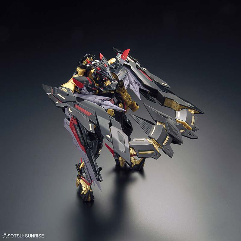RG GUNDAM ASTRAY GOLD FRAME AMATSU MINA MBF-P01-Re2 1/144