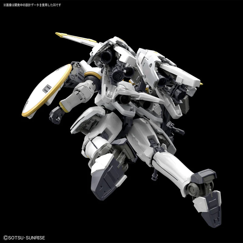 RG TALLGEESE EW 1/144