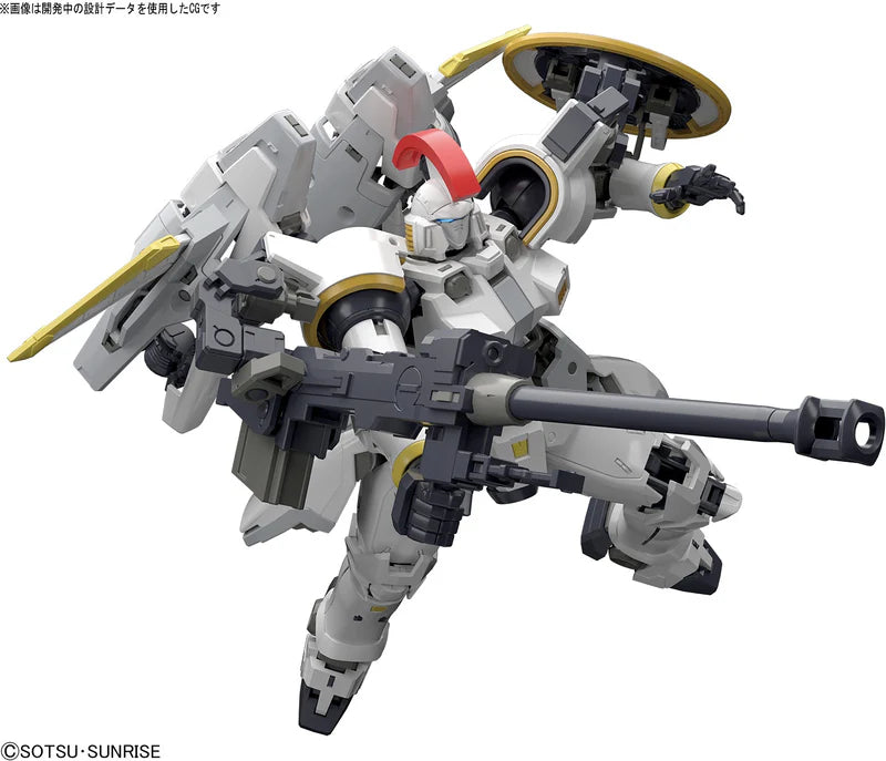 RG TALLGEESE EW 1/144