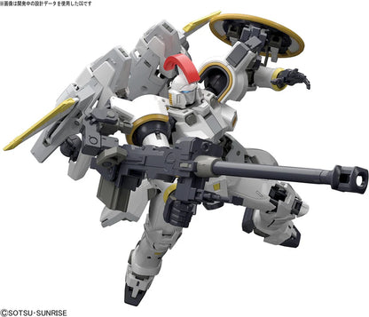 RG TALLGEESE EW 1/144