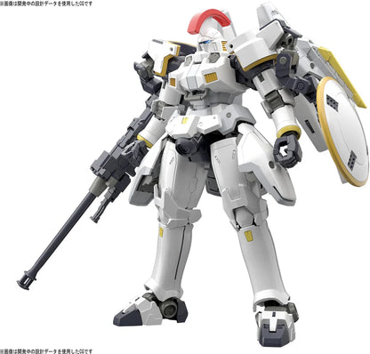 RG TALLGEESE EW 1/144